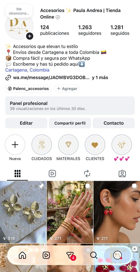 Página web de Accesorios Paula Andrea